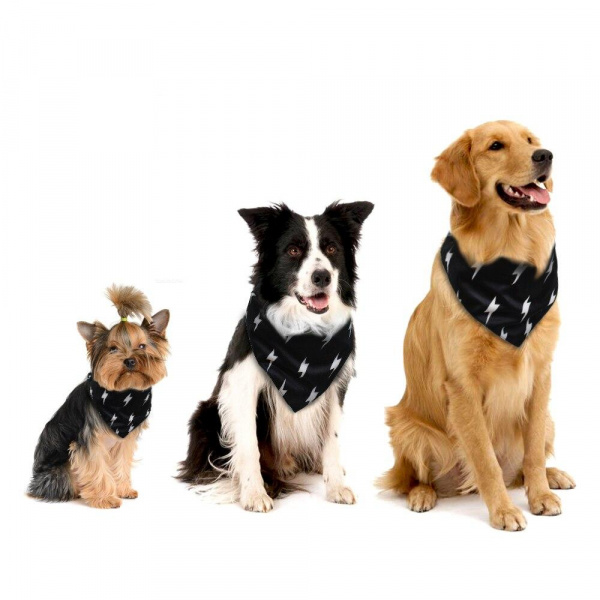 Collier Bandana pour chiens Accessoire chien Collier chien couleur: Noir