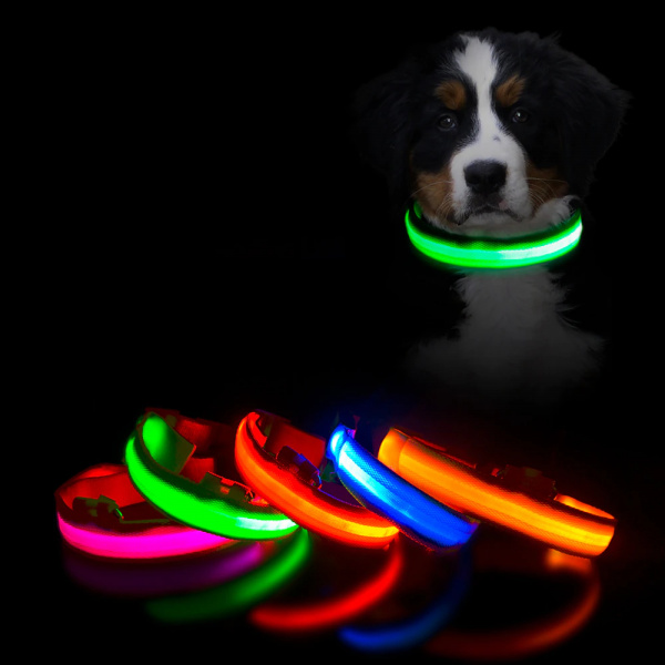 Collier à LED rechargeable par câble USB pour chien Accessoire chien Collier électrique chien couleur: Bleu|Jaune|Rose|Rouge|Vert