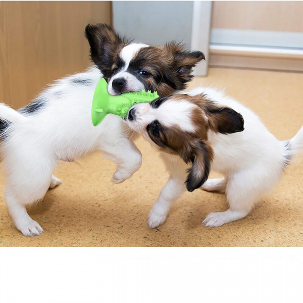 Jouet à mâcher pour chiens Accessoire chien Jouets pour chien couleur: Bleu|Jaune|Vert