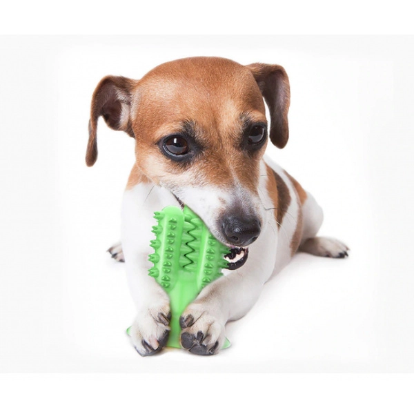 Jouet à mâcher pour chiens Accessoire chien Jouets pour chien couleur: Bleu|Jaune|Vert