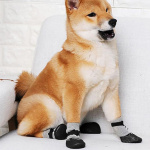 Chaussure en coton confortable pour chien Chaussette pour chien Chaussure pour chien Vêtement chien a7796c561c033735a2eb6c: Bleu|Noir|Rouge