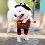 Costume de pirate pour chien Déguisement pour chien Vêtement chien a7796c561c033735a2eb6c: Marron
