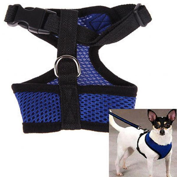 Harnais avec laisse flexible pour chien Accessoire chien Harnais chien Couleur: Bleu Taille: XS