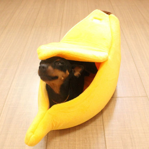 Nid en forme de banane pour chien Couchage chien Lit pour chien Niche chien a7796c561c033735a2eb6c: Bleu|Jaune|Rose|Vert