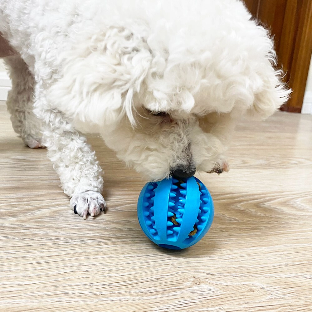 Balle de nettoyage des dents pour chiens Accessoire chien Jouets pour chien couleur: Bleu|Bleu ciel|Bleu marine|Jaune|Orange|Rouge|Vert