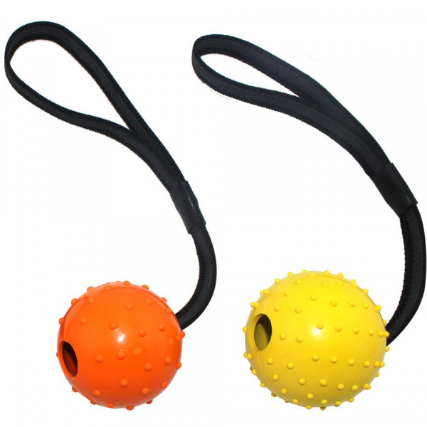 Balle en caoutchouc avec corde pour chien Accessoire chien Jouets pour chien couleur: Jaune|Orange|Rouge|Violet