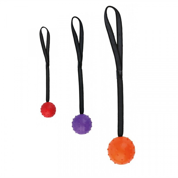 Balle en caoutchouc avec corde pour chien Accessoire chien Jouets pour chien couleur: Jaune|Orange|Rouge|Violet