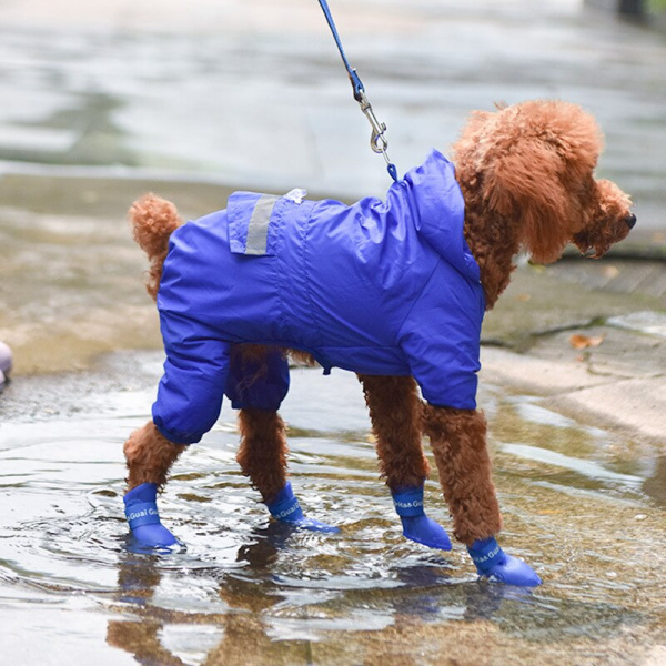 Botte de pluie imperméable pour chien Chaussure pour chien Vêtement chien couleur: Bleu|Jaune|Noir|Rose|Rouge|Vert|Violet