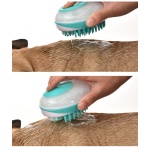 Brosse de bain en silicone pour chien Anti-puce chien Hygiène chien couleur: Bleu|Vert