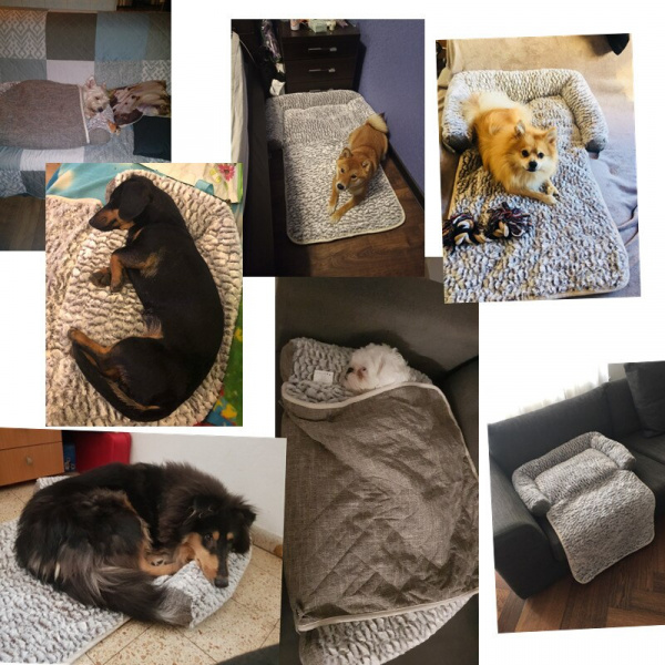 Canapé doux et chaud pour chien Canapé pour chien Mobilier pour chien couleur: Gris