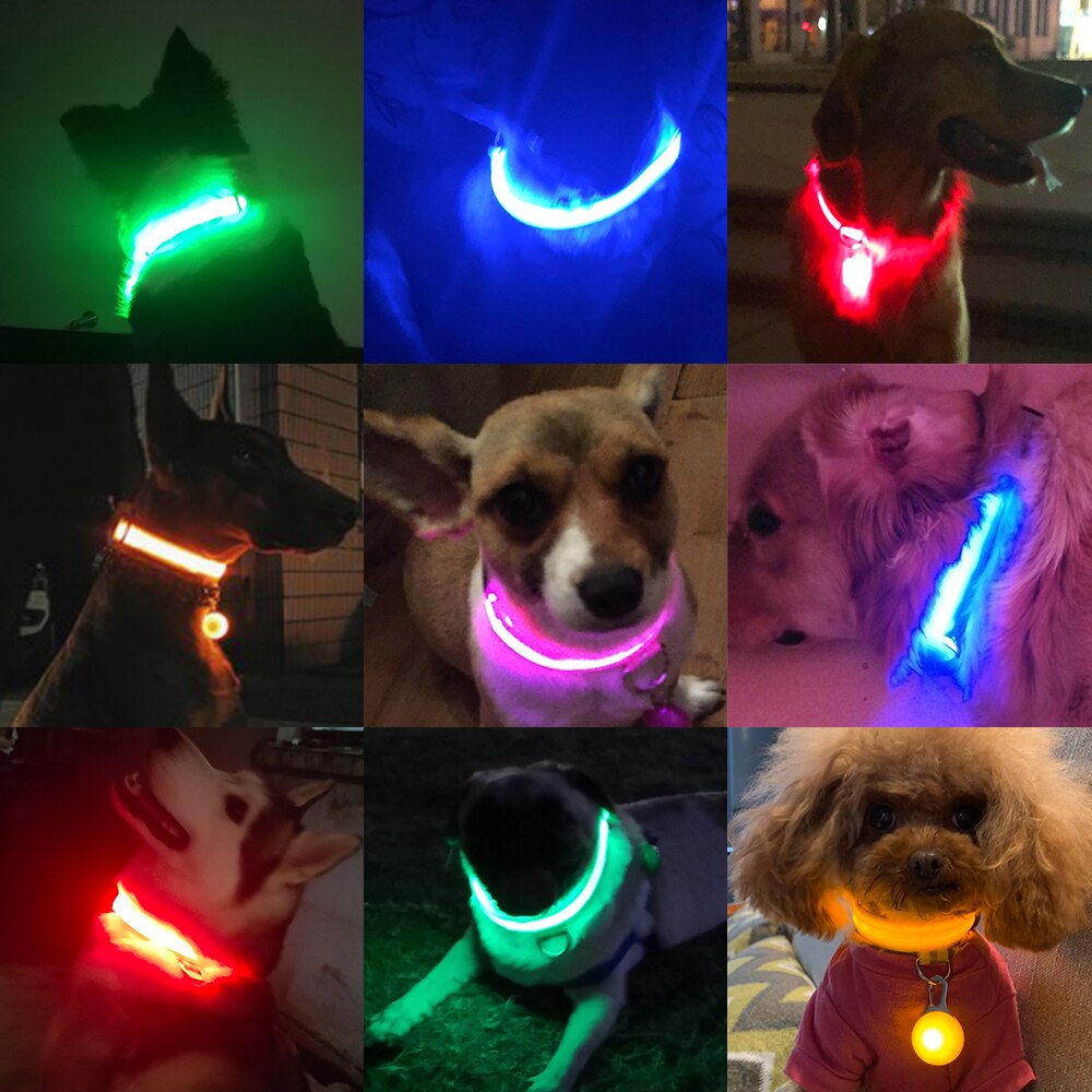 Collier à LED rechargeable par câble USB pour chien Accessoire chien Collier électrique chien a7796c561c033735a2eb6c: Bleu|Jaune|Rose|Rouge|Vert