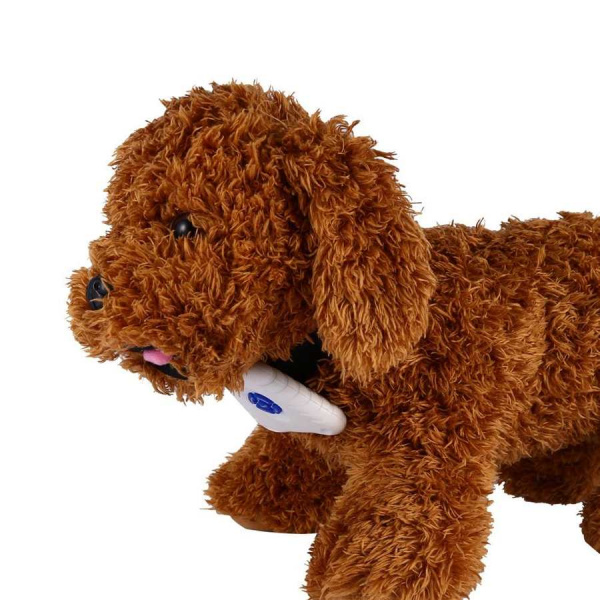 Collier anti-aboiement avec sangle pour chien Accessoire chien Collier anti-aboiement petit chien Collier chien Matériau: Plastique