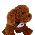 Collier anti-aboiement avec sangle pour chien Accessoire chien Collier anti-aboiement petit chien Collier chien Matériau: Plastique