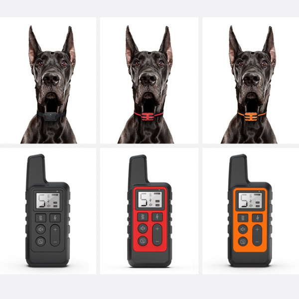Collier d’entraînement électrique à distance pour chien Accessoire chien Collier chien Collier électrique chien couleur: Noir|Orange|Rouge