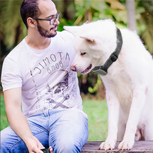 Collier de dressage électrique pour chien Accessoire chien Collier anti-aboiement chien Collier chien couleur: Blanc|Bleu|Noir