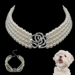 Collier orné de perles pour chien Accessoire chien Collier chien couleur: Blanc