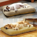 Coussins de lits moelleux pour chiens Couchage chien Tapis pour chien couleur: Beige