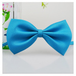 Cravate nœud papillon pour chien Accessoire chien Collier chien Couleur: Bleu