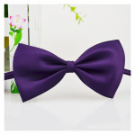 Cravate nœud papillon pour chien Accessoire chien Collier chien Couleur: Violet