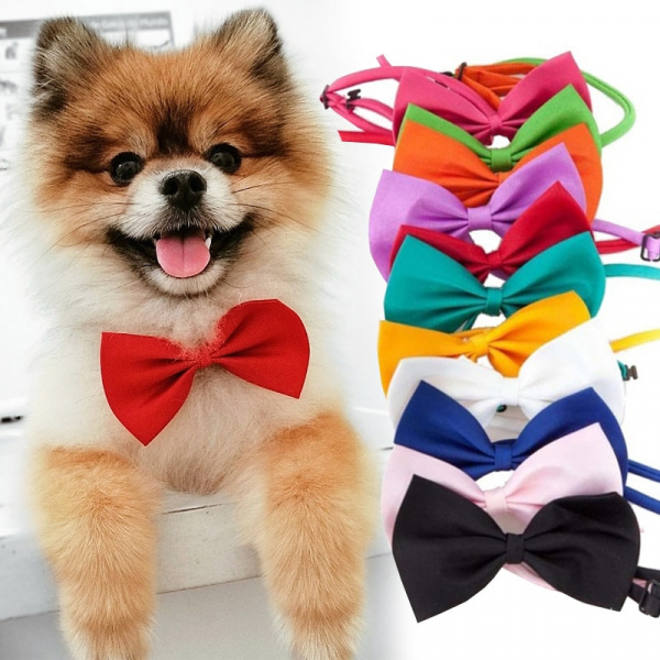 Cravate nœud papillon pour chien Accessoire chien Collier chien couleur: Blanc|Bleu|Bleu ciel|Bleu marine|Noir|Orange|Rose|Rose vif|Rouge|Vert|Vert foncé|Violet