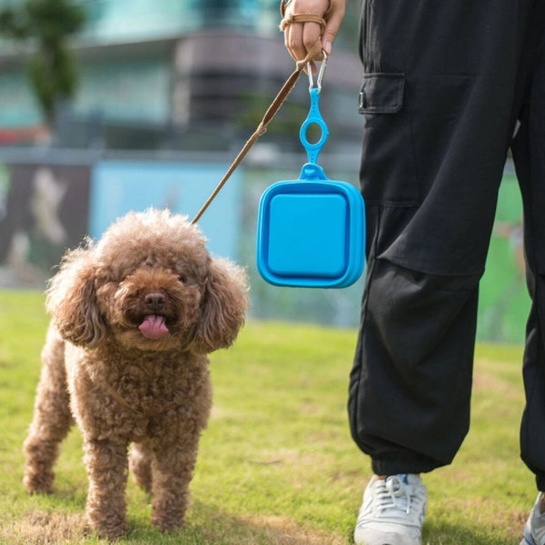 Gamelle pliable de voyage en Silicone pour chien Accessoire chien Gamelle chien a7796c561c033735a2eb6c: Bleu|Gris|Jaune|Vert