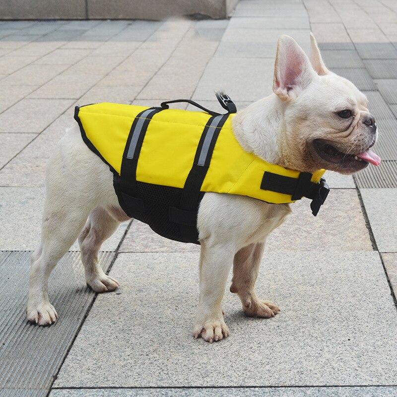 Gilet de sécurité réfléchissant pour chien Gilet sauvetage chien Vêtement chien couleur: Orange|Vert