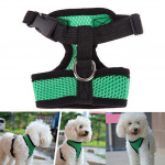 Harnais avec laisse flexible pour chien Accessoire chien Harnais chien Taille: L Couleur: Vert