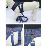 Harnais avec laisse pour chiens Accessoire chien Harnais chien couleur: Beige|Bleu|Rouge