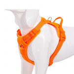 Harnais avec une fixation de la laisse pour chien Accessoire chien Harnais chien couleur: Noir|Orange|Rouge