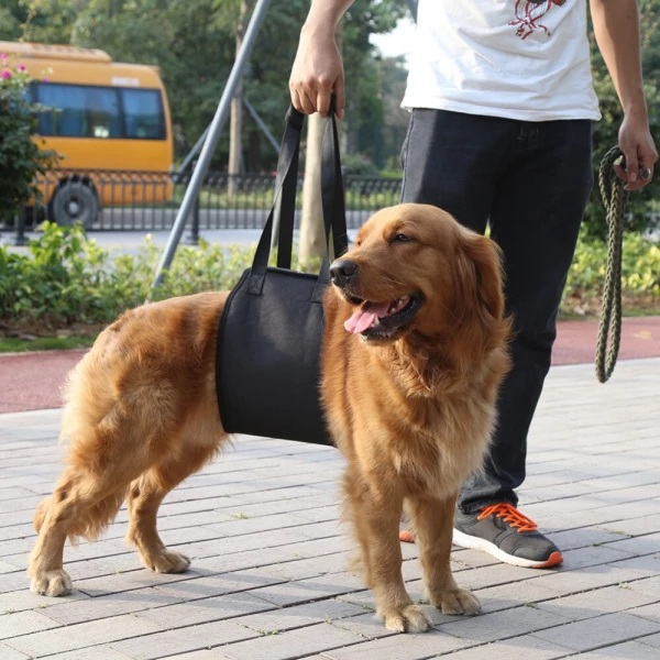 Harnais de soutien pour chien Accessoire chien Harnais chien taille: S|M|L|XL