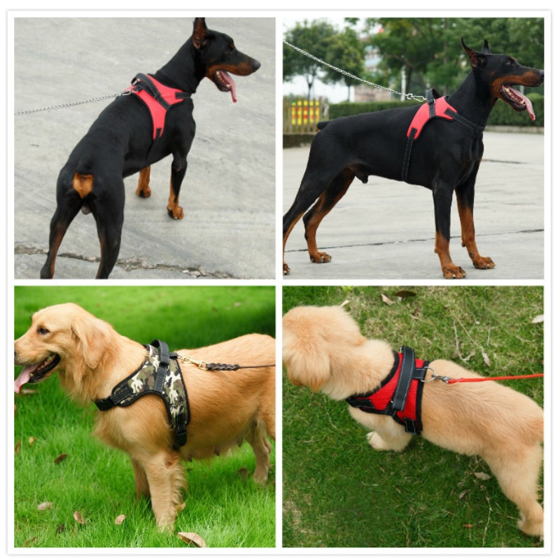 Harnais pour tous les types de chiens Accessoire chien Harnais chien Harnais chien anti traction couleur: Bleu|Noir|Rose|Rouge|Violet