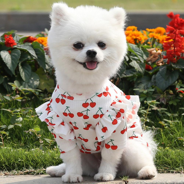 Joli vêtement pour chien Déguisement pour chien Vêtement chien couleur: Blanc|Rose