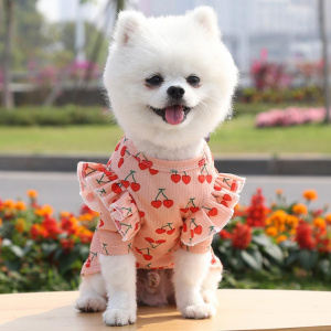 Joli vêtement pour chien Déguisement pour chien Vêtement chien couleur: Blanc|Rose