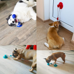 Jouet de traction fantastique à ventouse pour chien Accessoire chien Jouets pour chien couleur: Bleu|Rouge|Vert