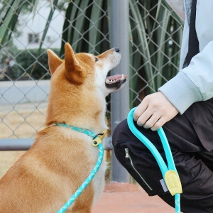 Laisse pour chien de toutes races Accessoire chien Laisse chien couleur: Bleu|Gris|Jaune|Noir
