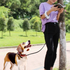 Laisse rétractable de sécurité pour chien Accessoire chien Laisse chien couleur: Blanc|Noir|Rose|Vert