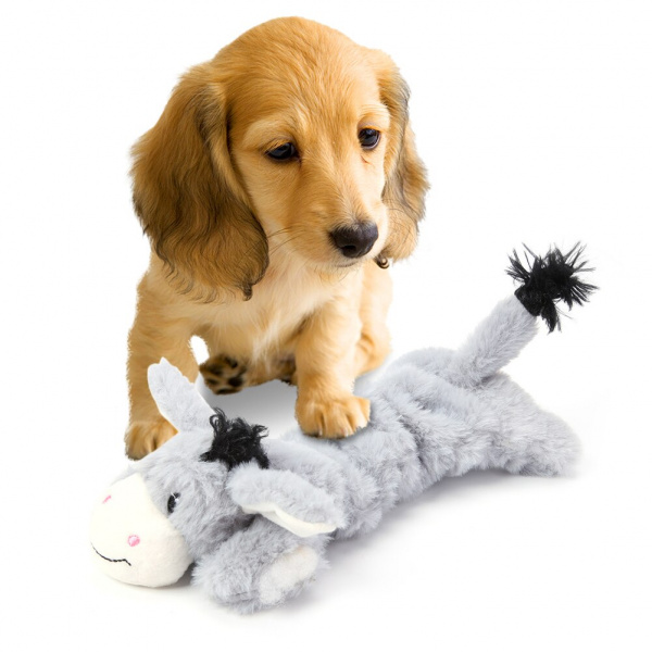 Peluche en forme d’animal pour chiens Accessoire chien Doudou pour chien couleur: Blanc|Gris