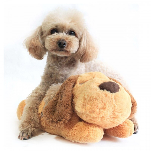 Peluche en forme d’animal pour chien Accessoire chien Jouets pour chien couleur: Marron