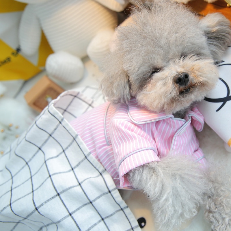 Pyjama rayé pour chiens Vêtement chien couleur: Bleu|Rose