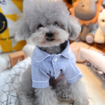 Pyjama rayé pour chiens Vêtement chien couleur: Bleu|Rose
