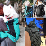 Sac à dos de transport avec large bandoulière pour chien Porte-chien Sac à dos pour chien Transport chien couleur: Noir|Vert