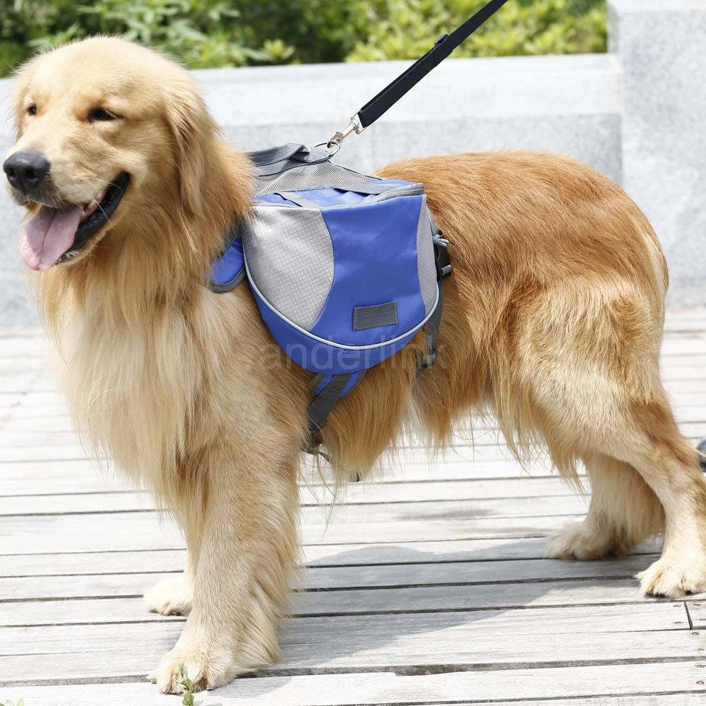 Sac à dos pour chien Sac à dos pour chien Transport chien couleur: Bleu|Gris|Orange|Rouge