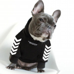 Sweat à capuche à la mode pour chien Manteau pour chien Vêtement chien couleur: Blanc|Noir