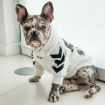 Sweat à capuche à la mode pour chien Manteau pour chien Vêtement chien couleur: Blanc|Noir