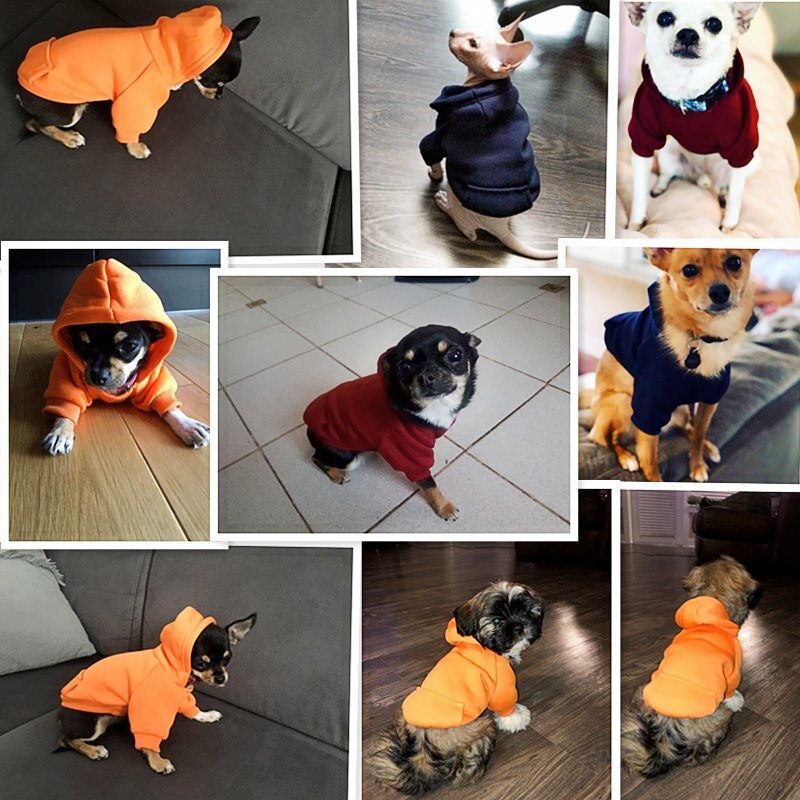 Sweat à capuche pour chien Manteau pour chien Vêtement chien couleur: Bleu|Marron|Orange|Rose|Rouge|Violet