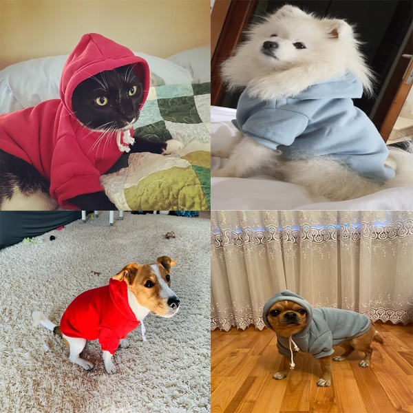 Sweat-shirt à capuche pour chien Manteau pour chien Vêtement chien couleur: Bleu|Gris|Noir|Rose|Rose vif|Rouge