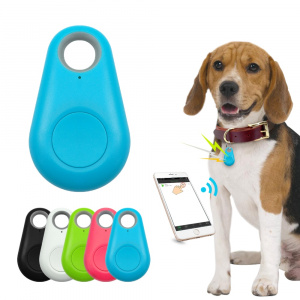 Traceur GPS pour chien Accessoire chien Collier chien Collier électrique chien couleur: Blanc|Bleu|Noir|Rose|Vert