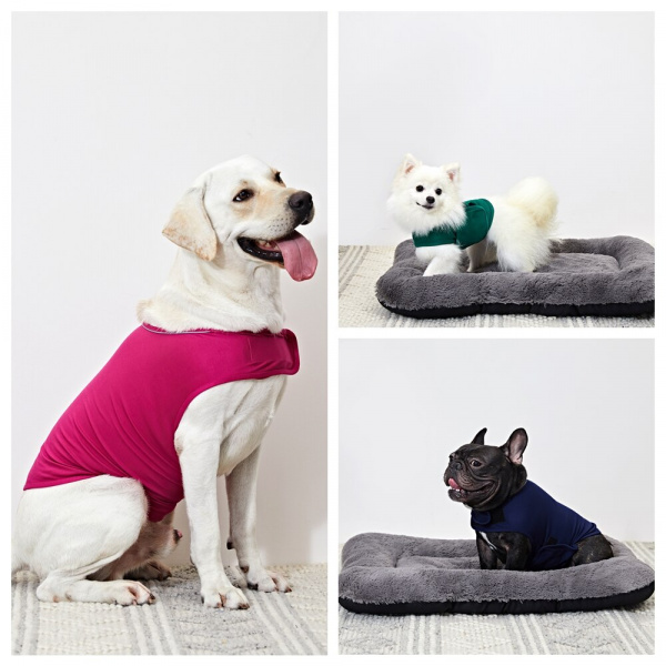 Veste anti-stress pour chien Manteau pour chien Vêtement chien couleur: Bleu|Gris|Rose|Vert
