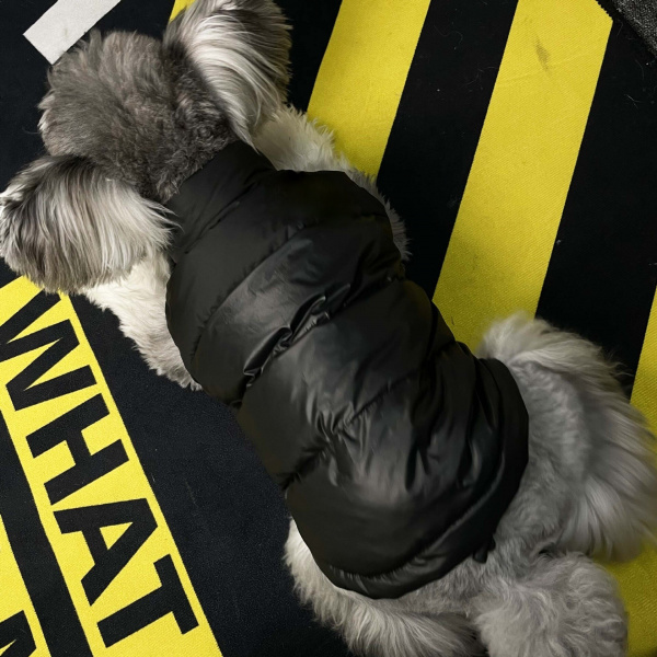 Veste en duvet pour chiens Manteau pour chien Vêtement chien couleur: Noir