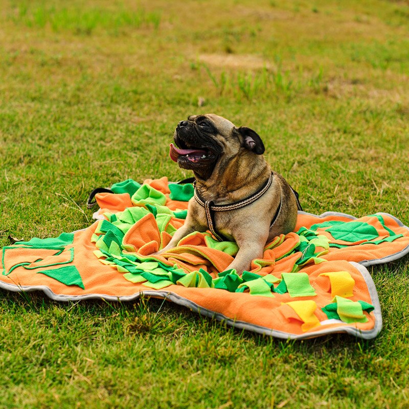 tapis confortable Accessoire chien Jouets pour chien a7796c561c033735a2eb6c: Orange